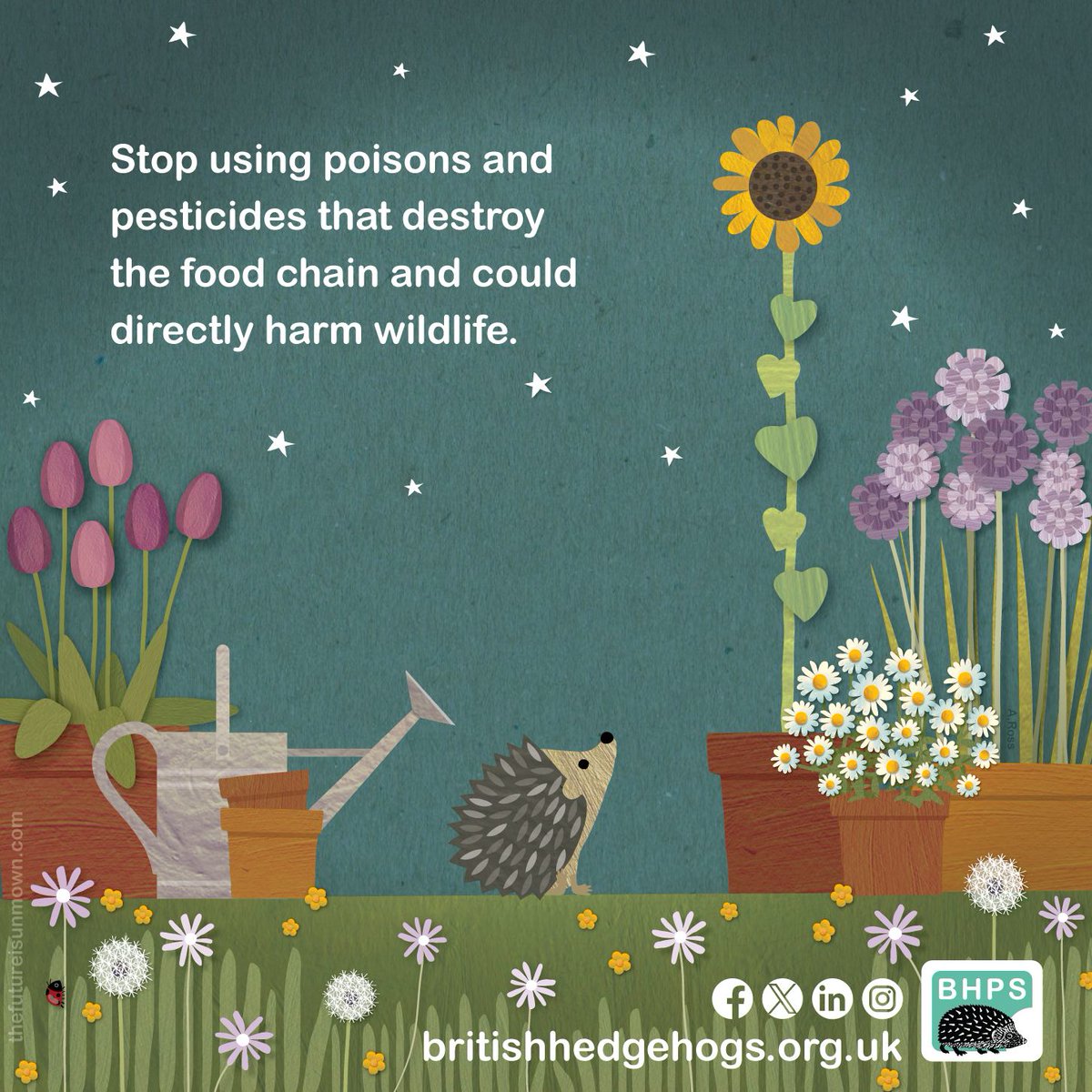 Going organic in the garden is one fantastic way to help hedgehogs out! 🌼 🦔 🪲 Ditch the pesticides & #WelcomeWildlife all year long! Thanks to @TFIUnmown for donating this infographic. Help spread the word during #HedgehogWeek & #ShareToMakeAware