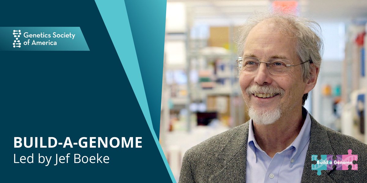Read about 2024 Elizabeth W. Jones Award for Excellence in Education recipient @JefBoeke who created a research-focused teaching course, Build-a-Genome, & revolutionized molecular biology & genetics education: bit.ly/3UO3XKN And don't miss his seminar! 1/2 🧵⬇️