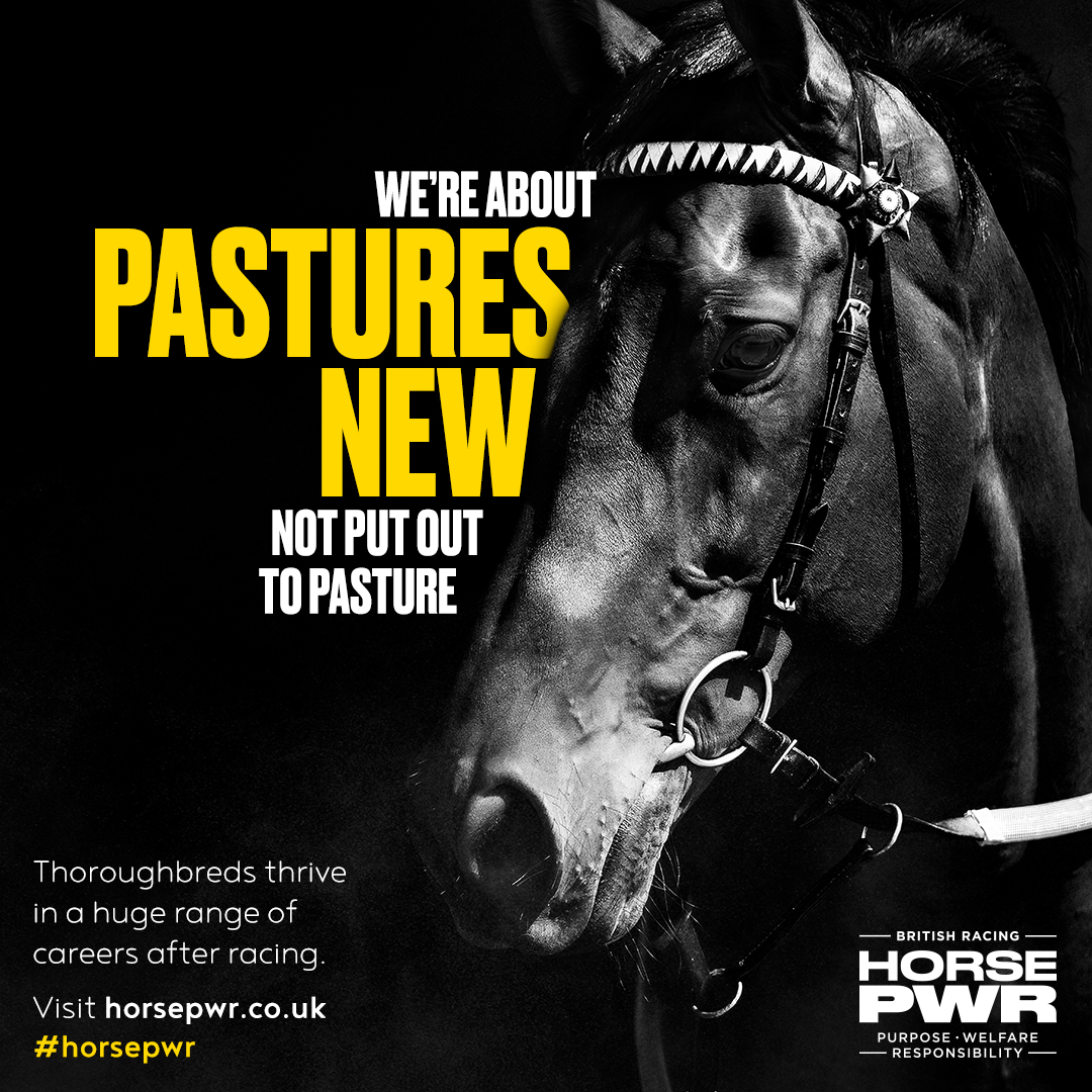 Owners and trainers work very hard to ensure that horses are rehomed properly after they finish racing, often at personal expense. Well done to the #HorsePWR campaign for tackling head on the view that horses just get ignored after racing horsepwr.co.uk