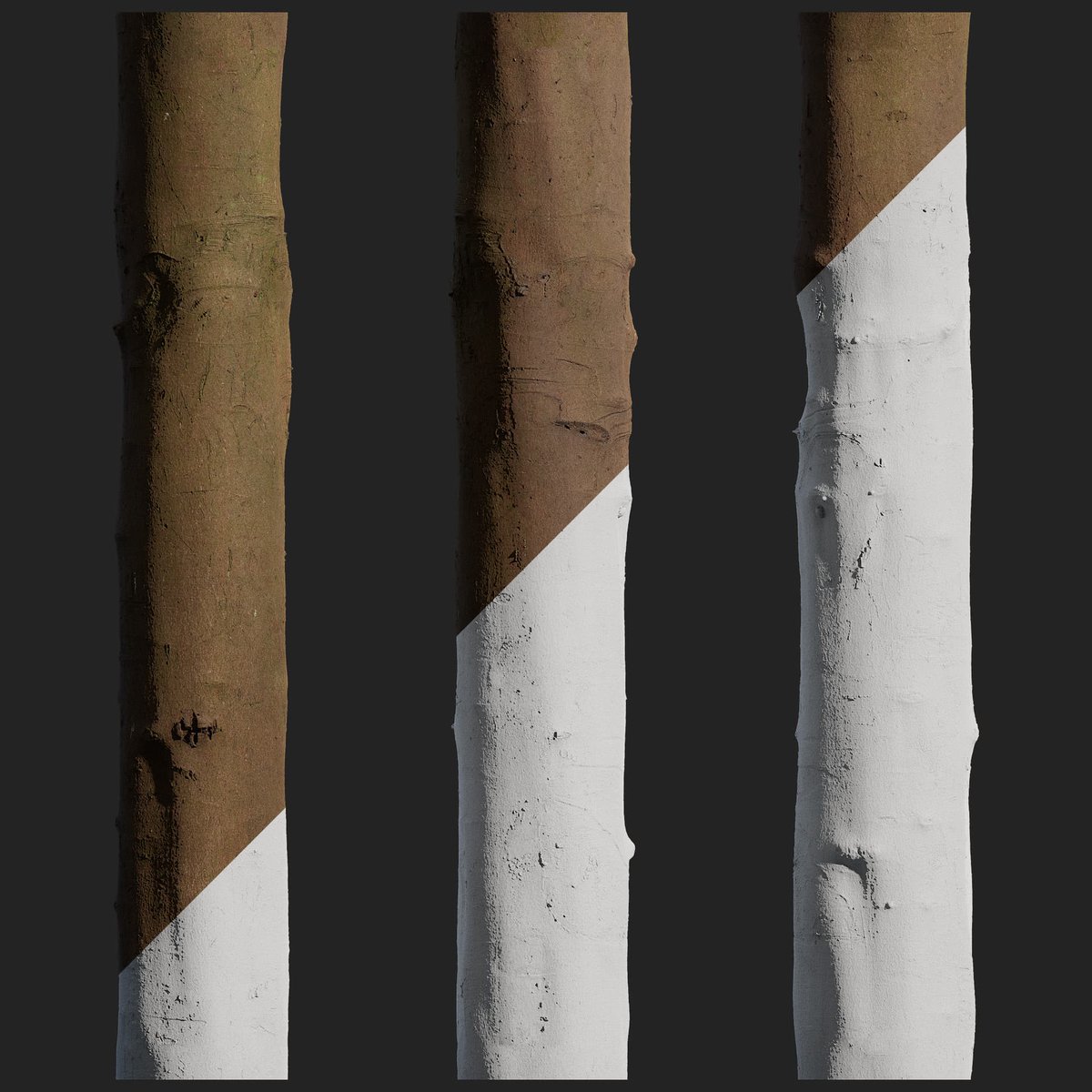 Tree bark material using photogrammetry workflow by @pbrpxcom Created using #RealityCapture Learn more at forums.unrealengine.com/t/free-bark-ma… #realitycapture #photogrammetry #3dscanning capturingreality.com