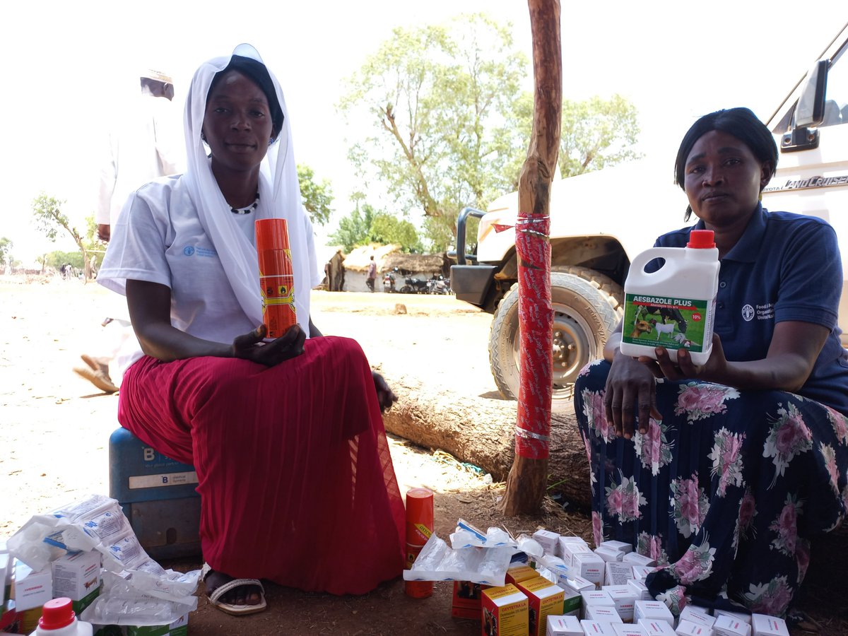 To prepare for potential #Livestock disease incidents as the rainy season approaches, @FAO distributed preparatory kits containing assorted veterinary drugs to Community Animal #Health Workers in Maban County to help them treat their livestock 🐄 🐐