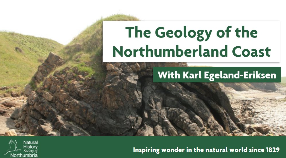 Discover the ancient tales etched into Northumberland's cliffs and landscapes! 🌊 Join us for a new course starting on Friday 7 June and start exploring our region's beautiful coastline. Reserve your spot now: ow.ly/zmmO50RzclM