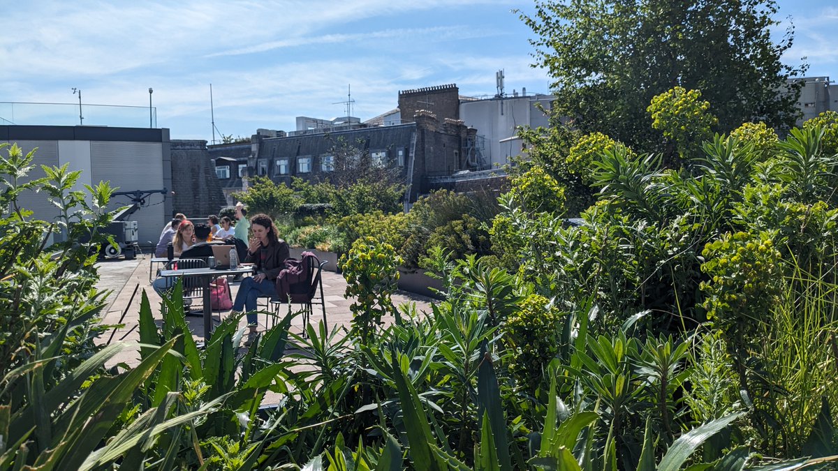 It's lovely to see our Legacy Terrace Garden busy with the summer weather! ☺️ In addition to providing students with a lovely place to eat lunch, chat or study, all of the flowers and foliage on the terrace is pollinator friendly. 🐝 #SustainableLSE