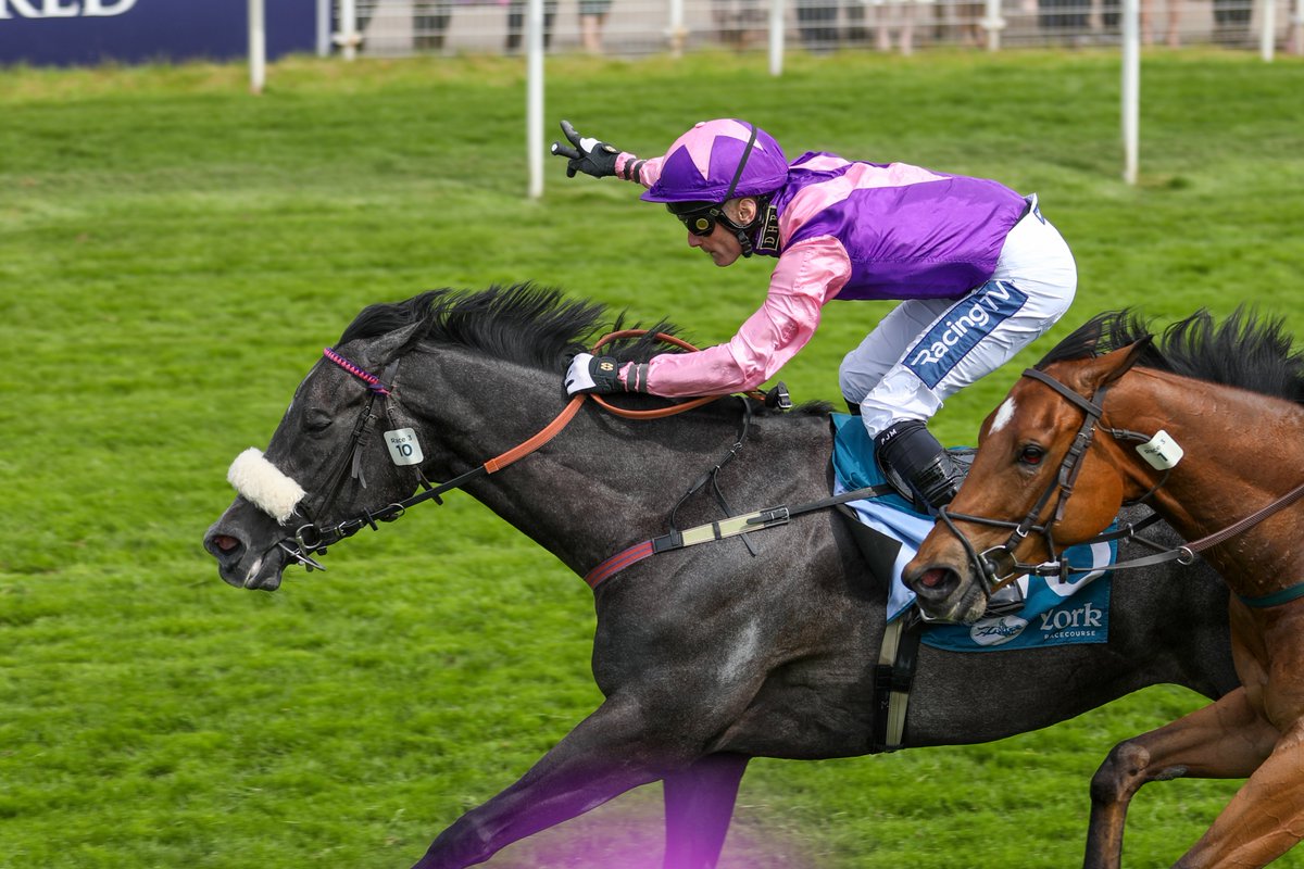 AZURE BLUE set for York comeback in the 1895 Duke of York Clipper Stakes. @mdodsracing🗣️'We've been quite easy on her, but she looks great. @PMulrennan sat on her yesterday & was pleased with here.' Read more - bit.ly/3ye77ih Dante Festival | Wed 15 - Fri 17 May