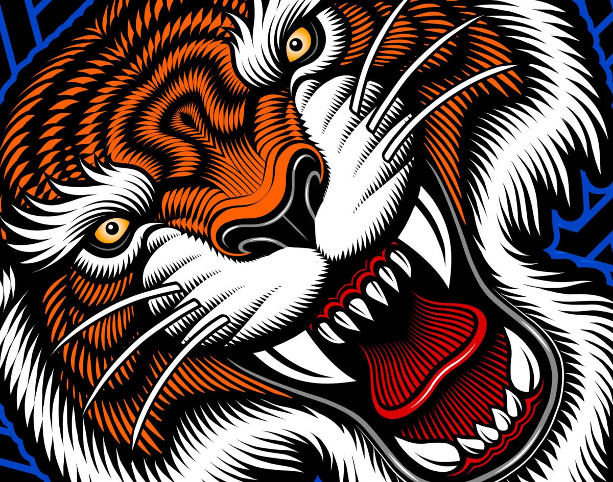 Flow N Roll recently hired illustrator Matt Curtis to create this tiger design for some Gracie Brandon Muay Thai shorts. Portfolio: hireillo.com/matt-curtis/ #Art #design #HireAnIllustrator #Illustration #TigerArt