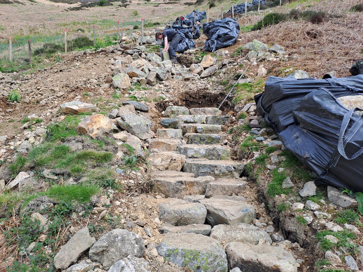 We've been repairing the footpath up Glenridding Dodd for the last couple of weeks and have made some decent progress...