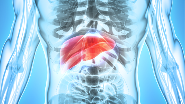 📚New #ECRJournal Article: 'Cardiovascular Risk in NAFLD' 📚 Just Published! 🔓Access it here 👉 ow.ly/A6nU105smQt #MedEd #CardioEd