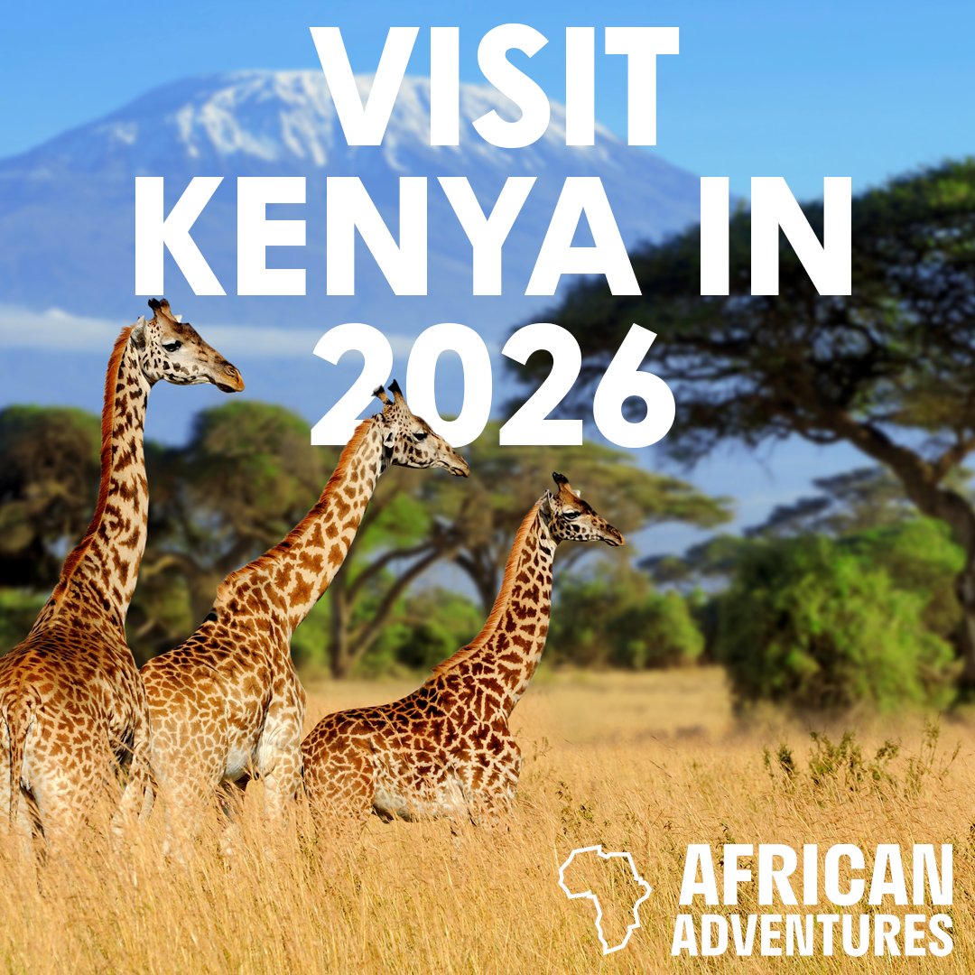 🌍 Exciting Opportunity Alert! 🌍 Calling all Year 8-11 students! Are you ready for an adventure of a lifetime? We're thrilled to announce a unique opportunity to visit and support a partner school in Kenya during Easter 2026! follow our social media channels for more updates!
