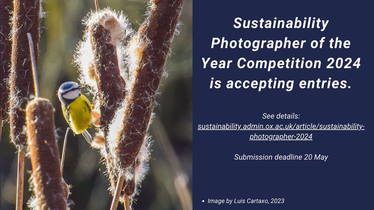 Sustainability Photographer of the Year Competition 2024 is accepting entries. So go out, take pictures and show us what moves you. Full details: buff.ly/3WqWnHg Submission deadline 20 May #nature #naturephotography #livinginoxford #oxfordstudents