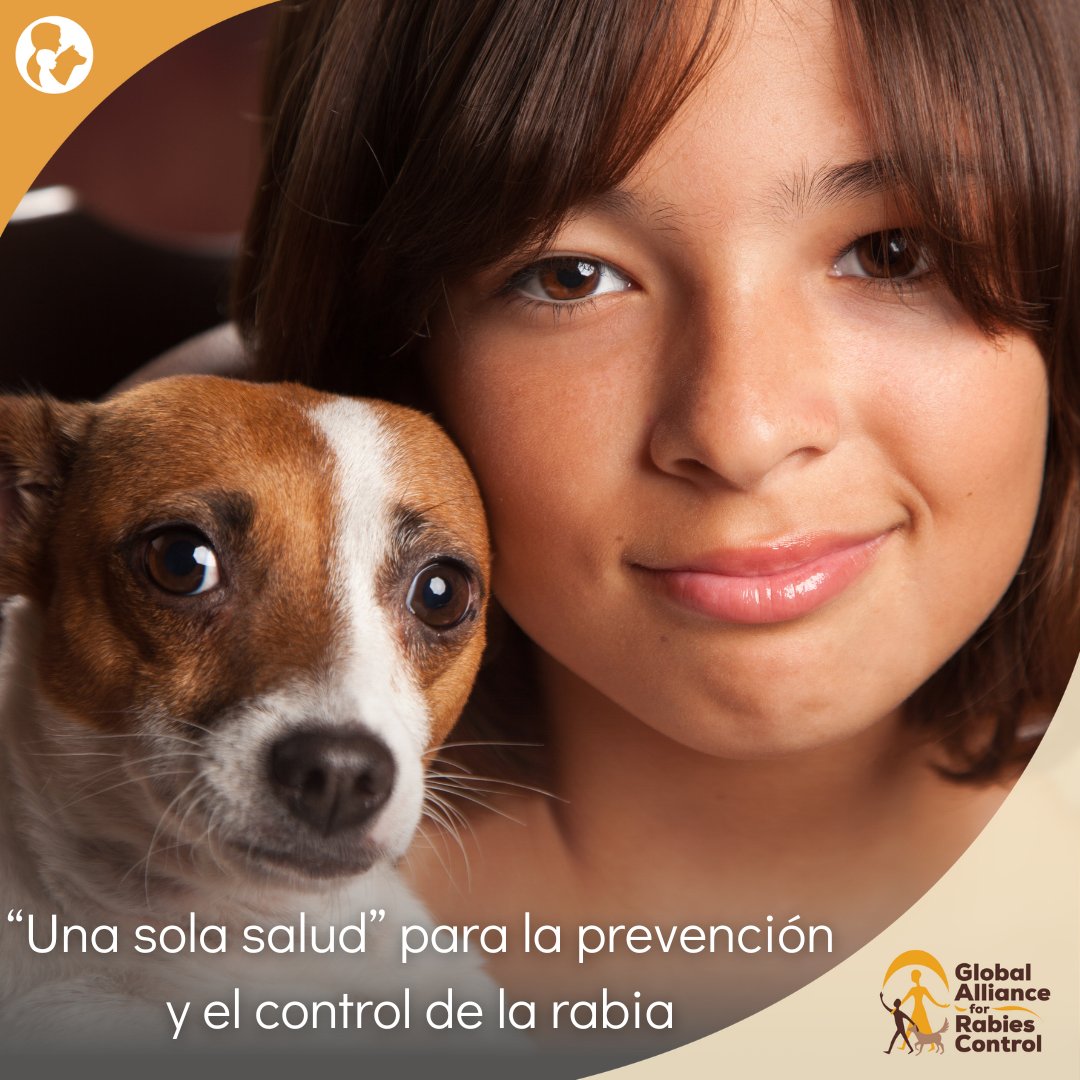 La #rabia afecta humanos y animales, pero juntos podemos eliminarla. Bajo #OneHealth, reconocemos la interconexión entre la salud humana, animal y ambiental, y la necesidad de colaboración entre sectores. ¡Unámonos para #AcabarConLaRabia! 🌍🐾hubs.ly/Q02v_94X0