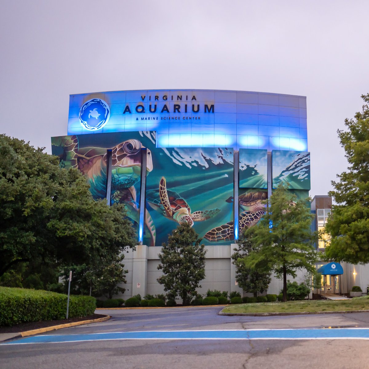 Thank you @VAAquarium for shining a light on lung cancer during #TurquoiseTakeover #LungCancerActionWeek! 💙✨ @LUNGFORCE