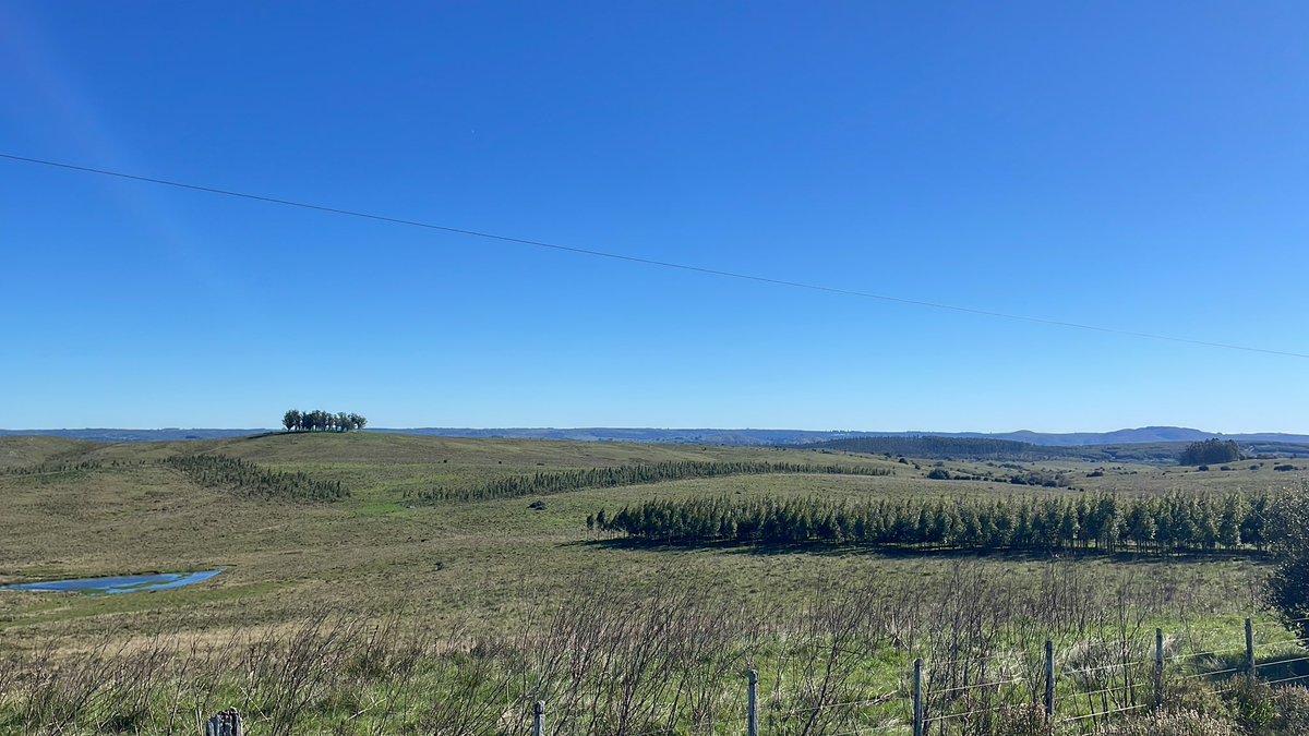 Imponentes las cortinas de abrigo de GMas. Un día buenazo! Oreando dsps de tanta agua.