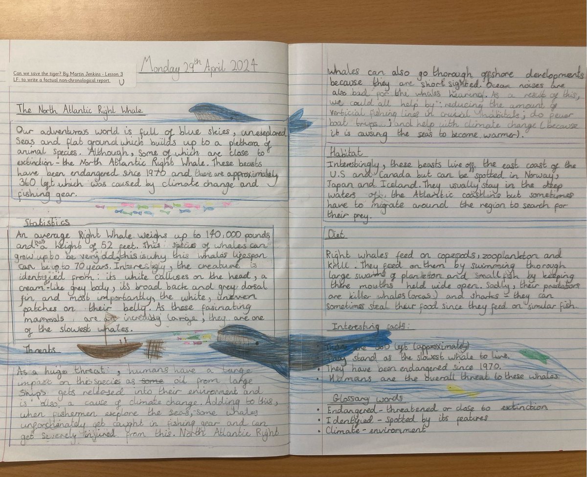 Some of the many stunning examples of the #nonchronologicalreports #Northleaze6 created last week. A fabulous way to showcase all they learnt about some endangered species. #writing #english #creativity