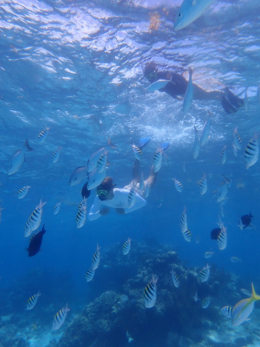 Deep sea discoveries last week 🐠🪸🐚 So special seeing the natural beauties of the ocean.