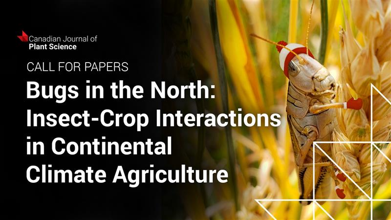 #CallForPapers: The Canadian Journal of Plant Science is accepting papers for a new collection on insect-crop interactions. 
✍️ Guest Editors: @TylerWist1, @BoydMori, Annie-Ève Gagnon & Héctor Cárcamo (@AAFC_Canada)
📅 For details & deadlines, visit: ow.ly/qqXF50R6FnR