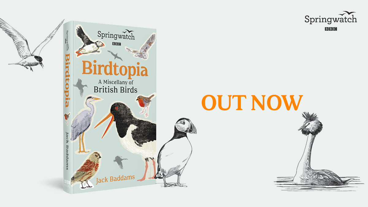 The ultimate bird lover's companion, #Birdtopia is out now. smarturl.it/Birdtopia