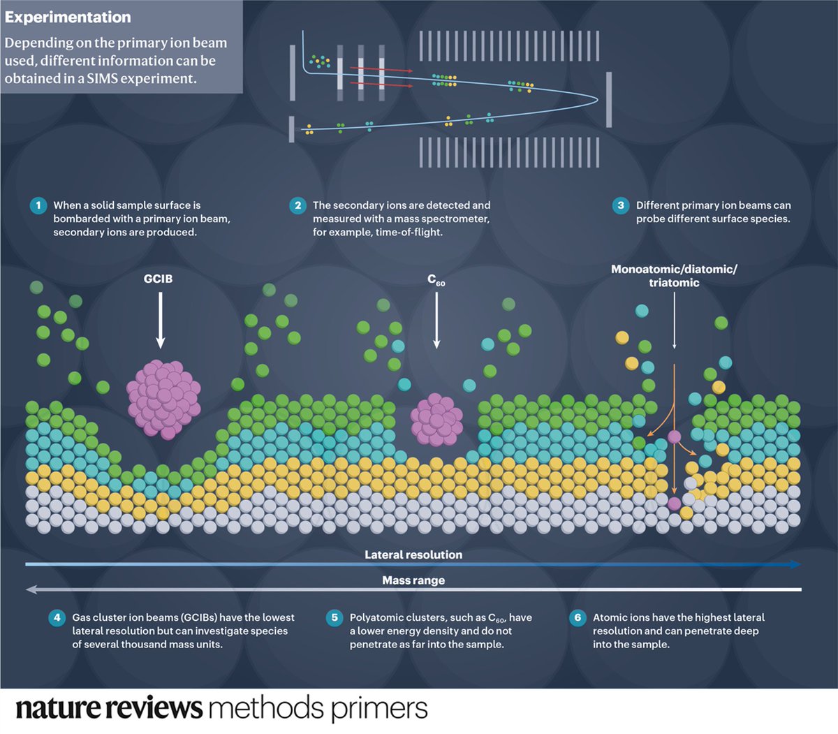This PrimeView highlights how different primary ion beams can be used to sample different surface species. Free to download for a week: go.nature.com/3K0dZlH