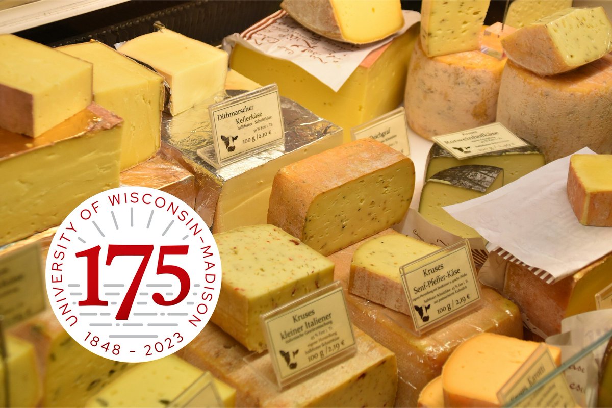 What's more emblematic of Wisconsin than cheese? Join @WisAlumni and Dean Sommer (@WICDR) for a talk on the WI dairy industry. This event, celebrating UW's 175th anniversary, is on May 30 at 7:15 PM!

More details: hubs.li/Q02wGgr_0

#BadgerTalks #UW175 #WisconsinIdea