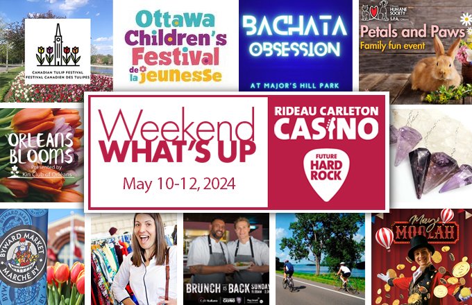 The tulips are in full bloom, <a href="/NCC_CCN/">National Capital Commission</a> bikedays are back, and the outdoor #Ottawa Markets are kicking off their season — Get out, enjoy and don't forget to celebrate Mom! 👉bit.ly/3pml9ub

<a href="/CdnTulipfest/">Canadian Tulip Festival</a> <a href="/OTTChildFest/">Ottawa Children's Festival de la jeunesse</a> <a href="/ottawahumane/">Ottawa Humane Society</a> <a href="/ByWardMarket_/">The ByWard Market</a> <a href="/613flea/">613flea</a> @RideauCasino