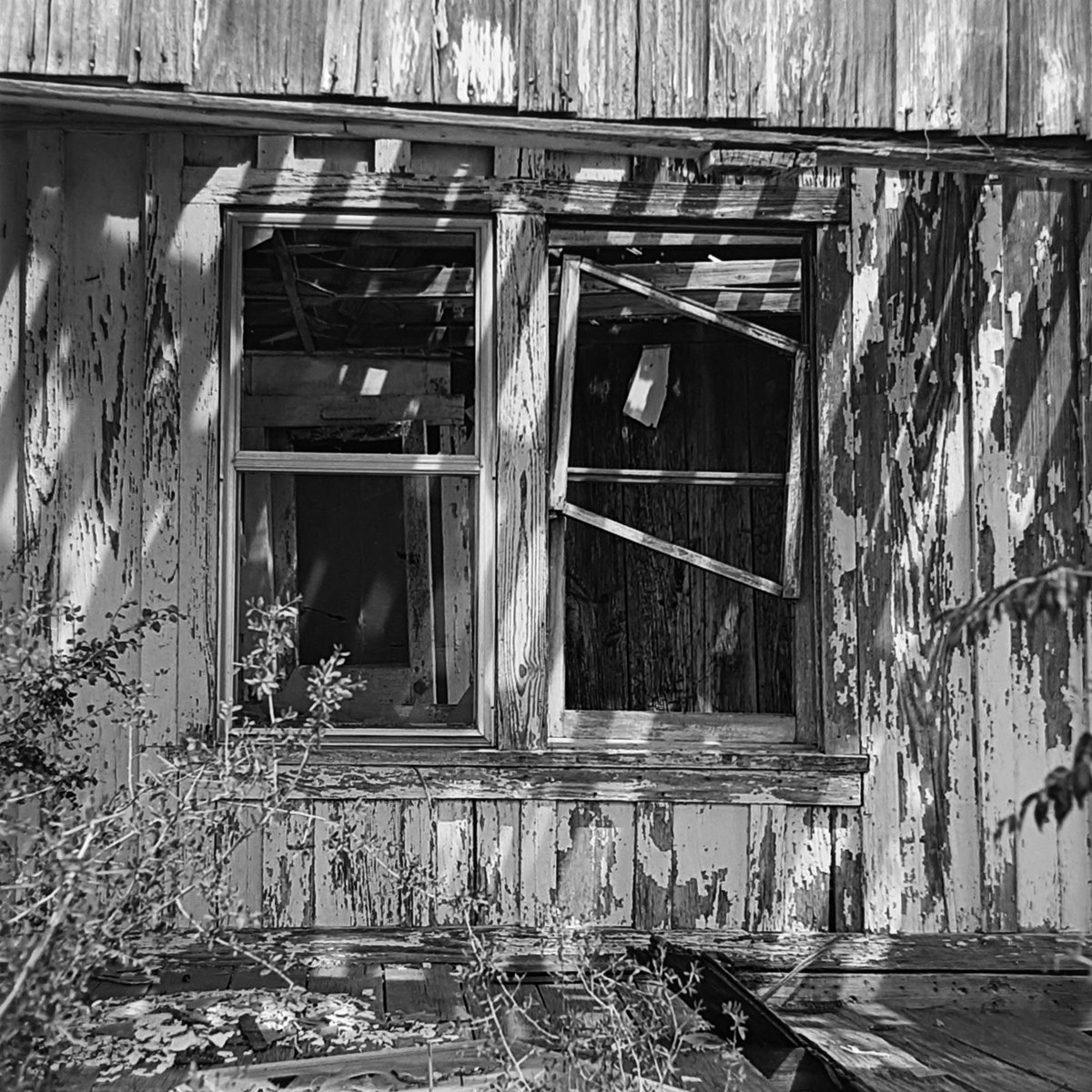 Abandoned house in west Texas. Mamiya C220f with 80mmf2.8 on Ilford Delta 100 dev'd in D76 #mediumformat #mamiya #c220 #film #shootfilm #ilfordphoto #westtexas #abandoned