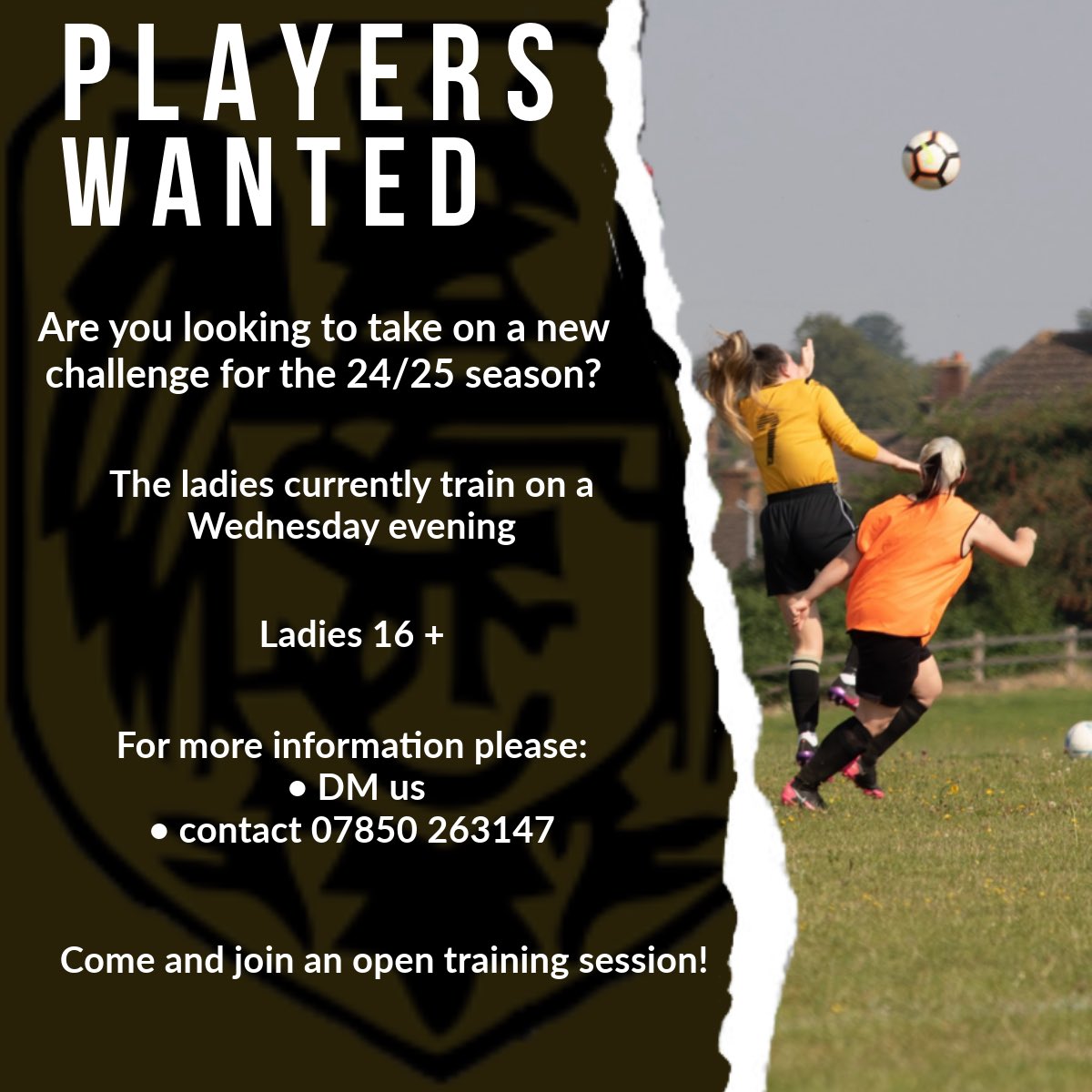 We are looking for new players to join the ladies for the 24/25 season! 

Please get into contact if you’re interested 💛🖤