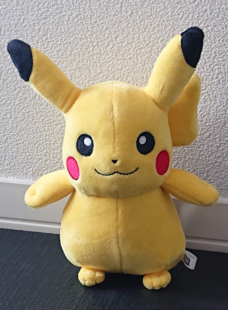 お休み前にこれだけは ポケモンはピカチュウだけじゃねぇぞぉ！