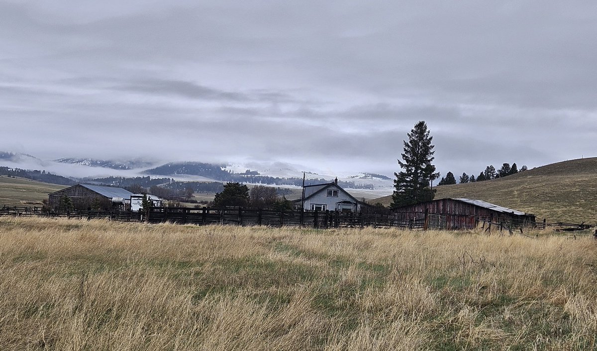 Morn’ My Montana, After the snow came the rain. Ravenwind showing new colors, greens and light bronze. Trees budding out! Snow levels still close on the hills. Needed. The stillness after hard winds is welcomed. Off to town shopping. 37ºF headed to 59. Ya’ll be careful out there!