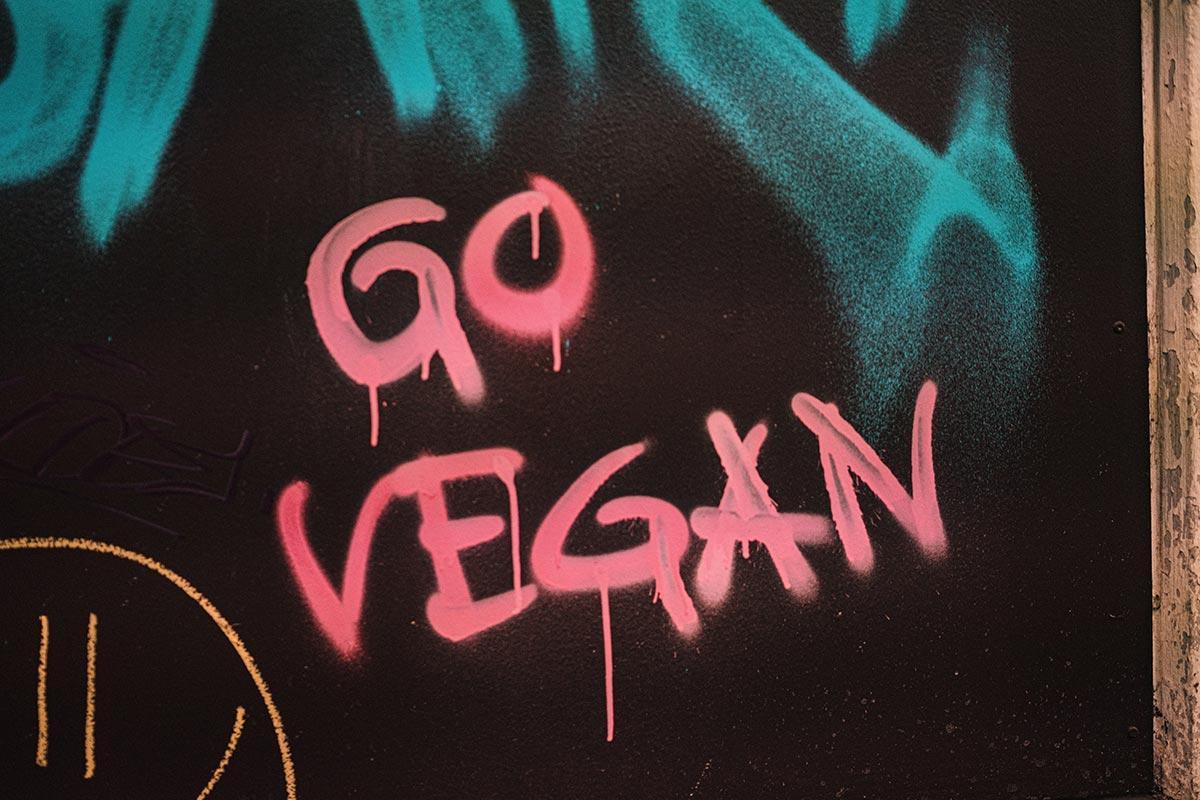 This essential guide tells you everything you need to know about going vegan 👇

veganfoodandliving.com/features/what-…

#vegan #veganuary #govegan #veganuary2023 #vegantips