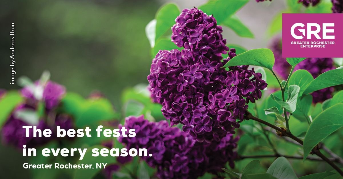 Not only is #GreaterROC a great place to grow a business, but it’s also a great place for lilacs! The 126th #RochesterNY Lilac Festival runs 5/10/-5/19. It's the largest festival of its kind in North America, celebrating 700+ varieties of lilacs. Details: roclilacfest.com