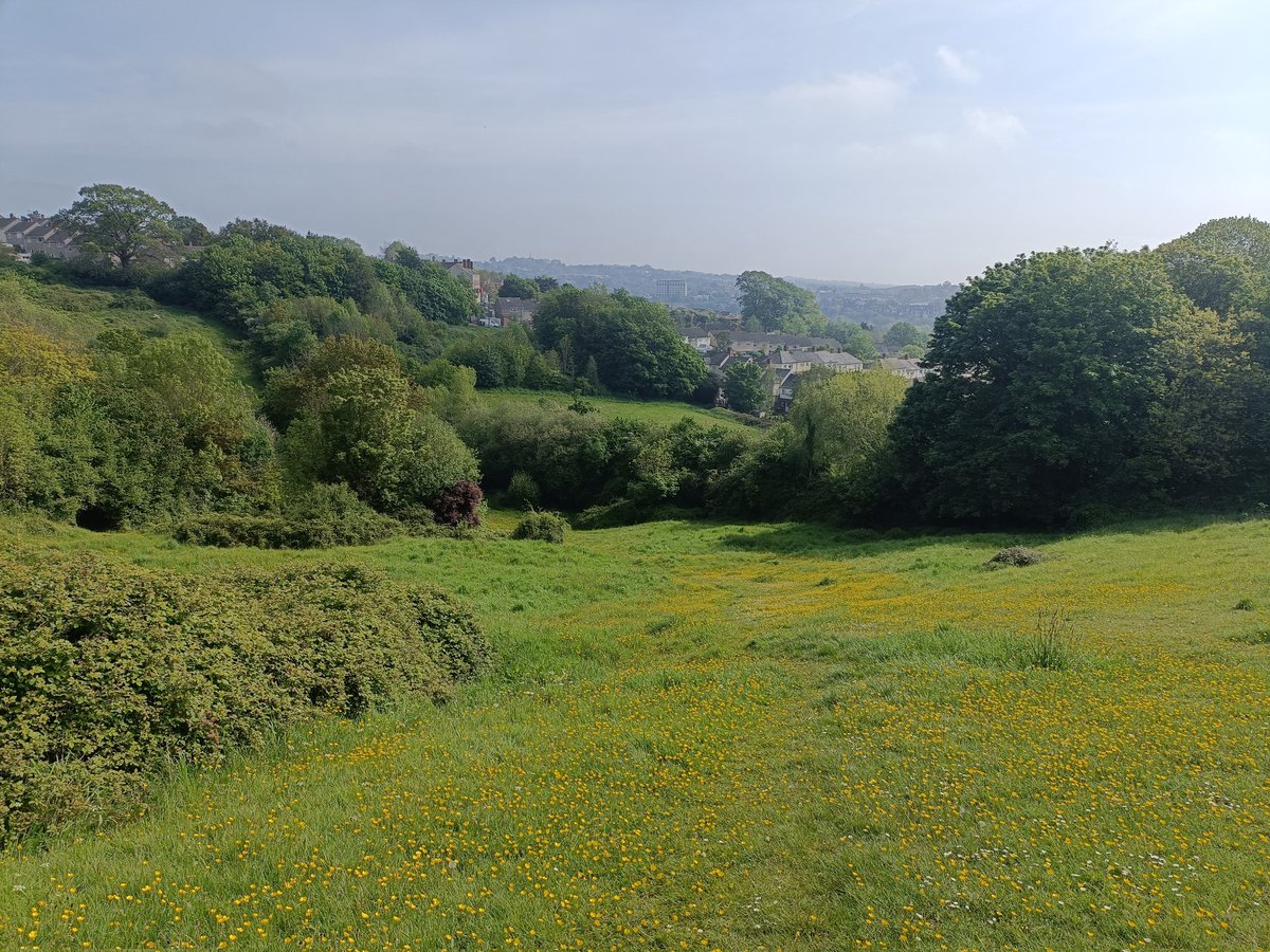 🌳 TAKING A BREAK from work to appreciate the outdoors this morning!  

Walking in the Barley Valley Nature Reserve with Becky as she completes another mile in her 31 miles for May challenge, raising awareness of mental health! 

A beautiful day in a beautiful part of Exeter