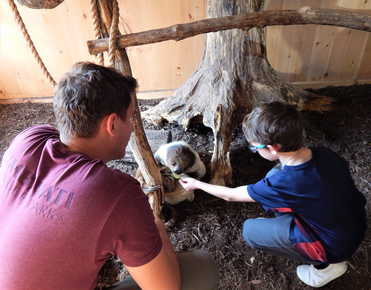 Start planning your summer adventure. Our SLOTH ENCOUNTER allow you to step into the sloth's enclosure and spend some one on one time with them. Feed them. Learn about them. Take as many photos as you'd like. Memories await at Timbavati! timbavatiwildlifepark.com to schedule. #zoo