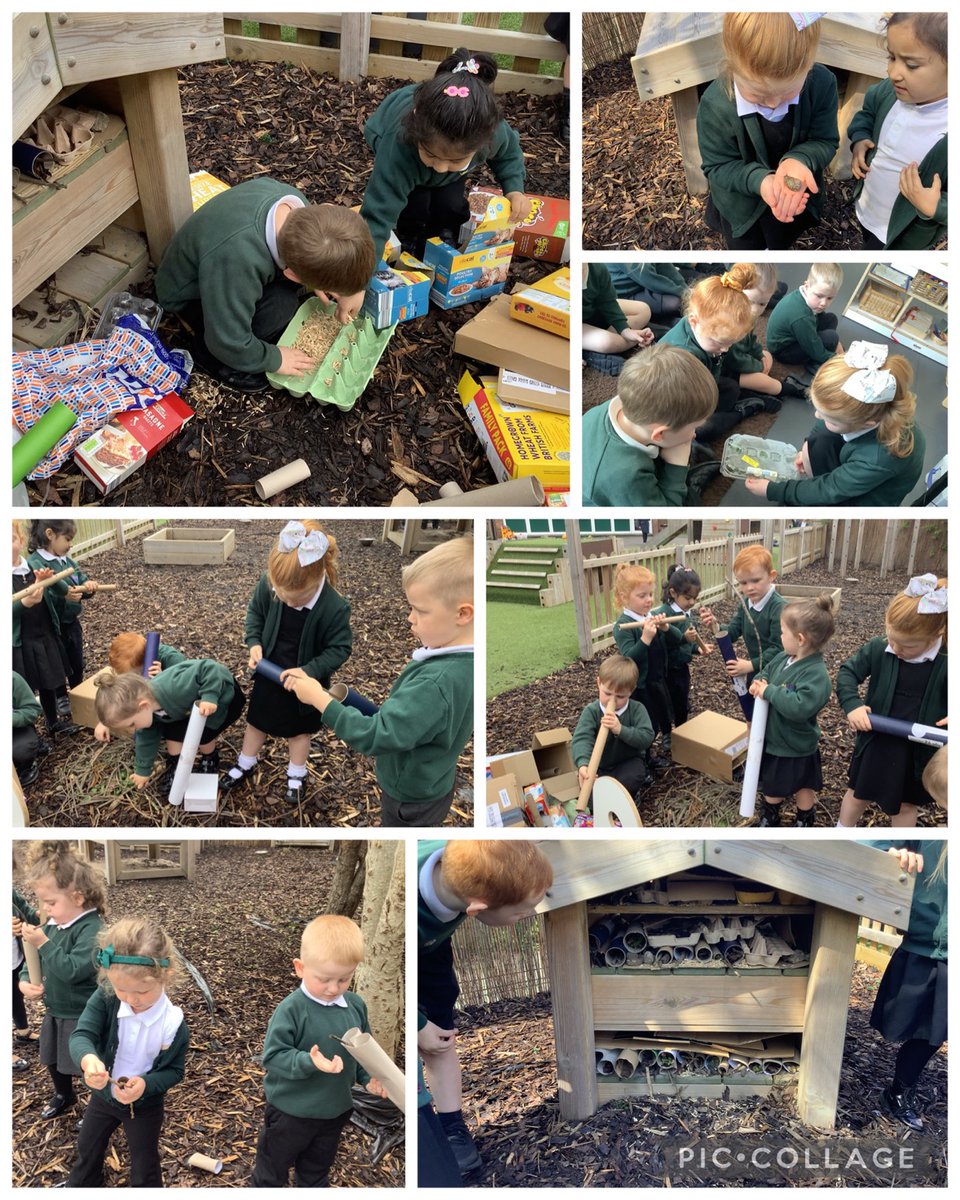 MGTeamOpal's tweet photo. Team Opal worked together using various donated resources to create a bug hotel. The children explored the outdoor area collecting different bugs and placing them in their new home 🐞🐌
We're also super impressed that our cress gardens and sunflowers have grown! 🌱 https://t.co/kAELSnwoF8