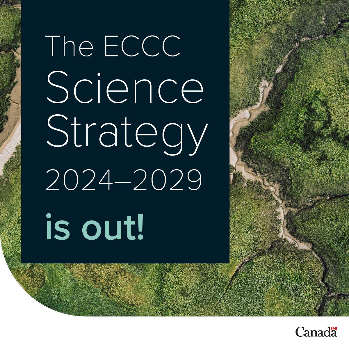Explore our new Science Strategy 2024-2029 to learn about our vision for the future of ECCC #Science! 🔬 🌳 🌟 Check it out: ow.ly/jijl50RAogW #CanSci