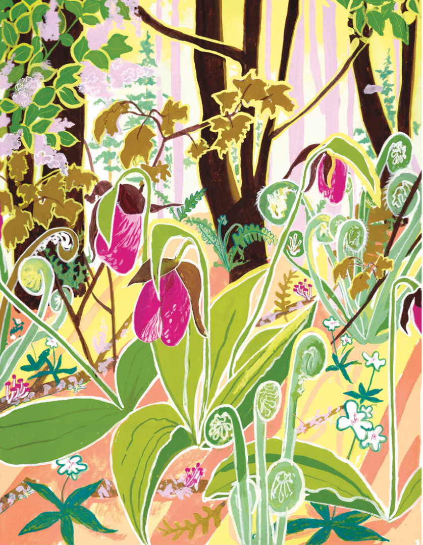 May Showers...June Flowers? SURE!  We've got lots of #flowers for MOM this weekend by #localartists like this new #artprint by Lizz Miles! #affordableart #halifaxns #ladyslipper #forestflower #opencityhfx