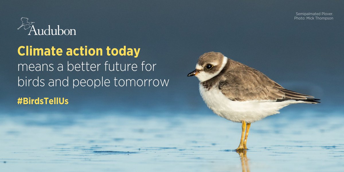 #BirdsTellUs it's time to act—Audubon's science shows that climate change is by far the biggest threat to birds. Pledge to stand with Audubon in calling on elected leaders to listen to science and work toward climate solutions. bit.ly/3JQkV55