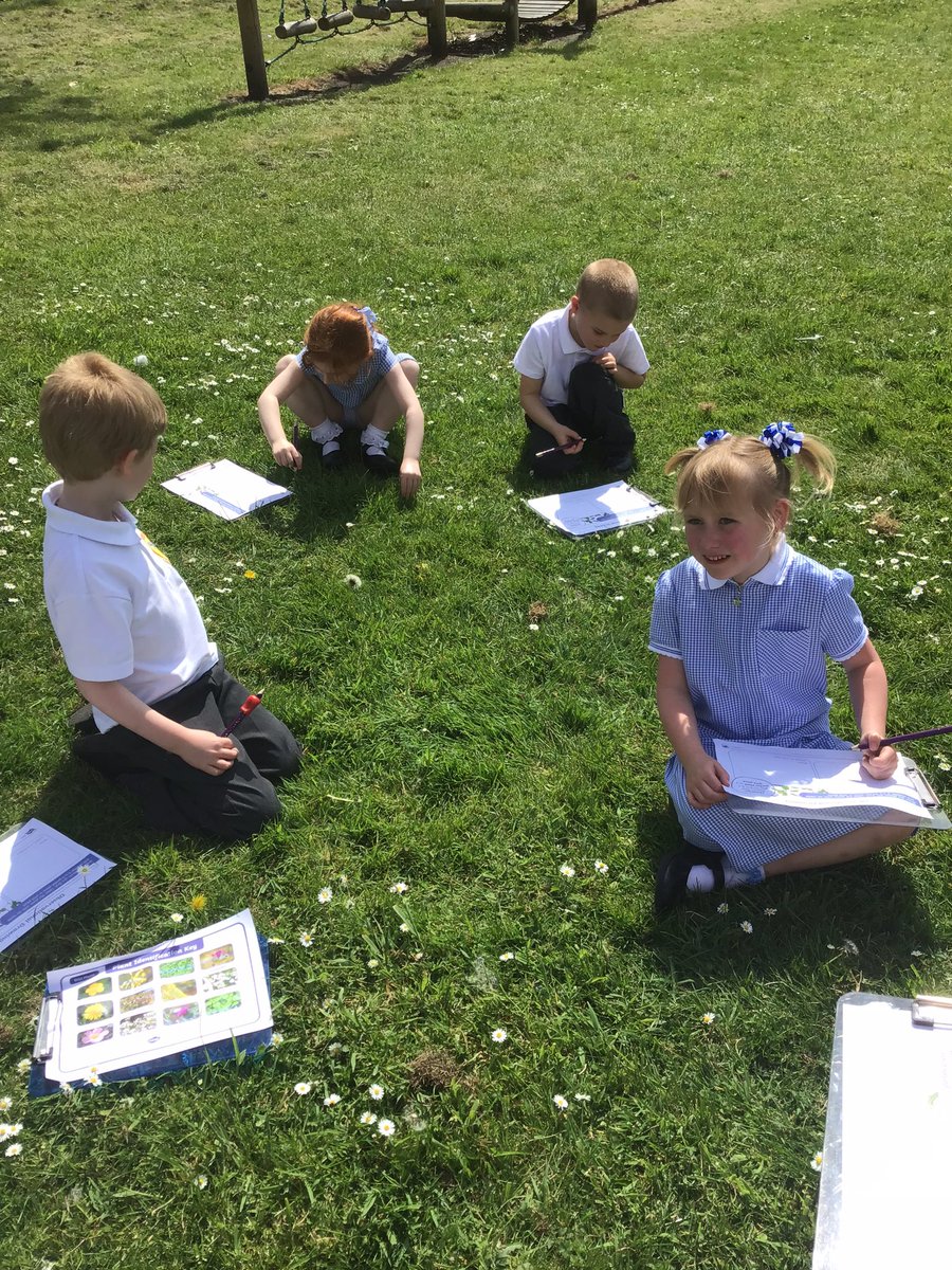 Year 1 went on a plant hunt to identify and name common garden and wild plants 🪴💐🌻🌼 #science #year1 #plants @StPPPrimary