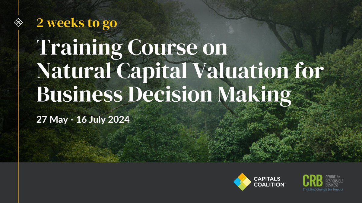 🗓️2 weeks to go! Learn how to use the #NaturalCapitalProtocol 🌱 to identify business risks and opportunities with our new course – developed in collaboration with the @Centre4RespBiz Sign up now: bit.ly/4aSpnf9
