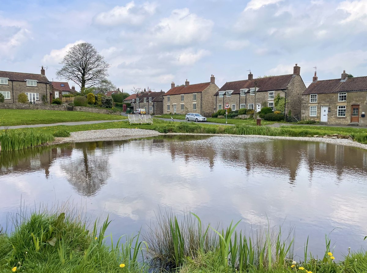 𝗥𝗲𝘀𝘁𝗼𝗿𝗲𝗱 ✅ The historic dew pond in Newton-on-Rawcliffe was restored through our Birds on the Edge project. It has been a joy to work with the community to return the pond to a thriving haven for wildlife, with beaches for Turtle Dove who have been spotted this week.