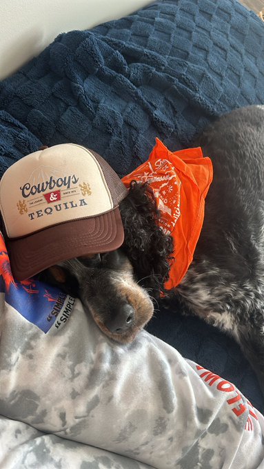 My dog 1 week into living in the country https://t.co/dyfhHiRf9M