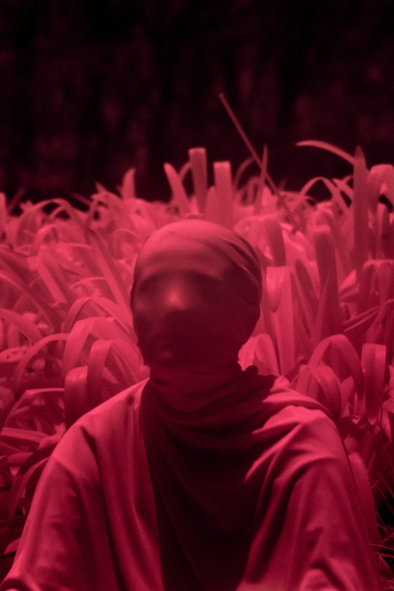 gm – bullish on artists