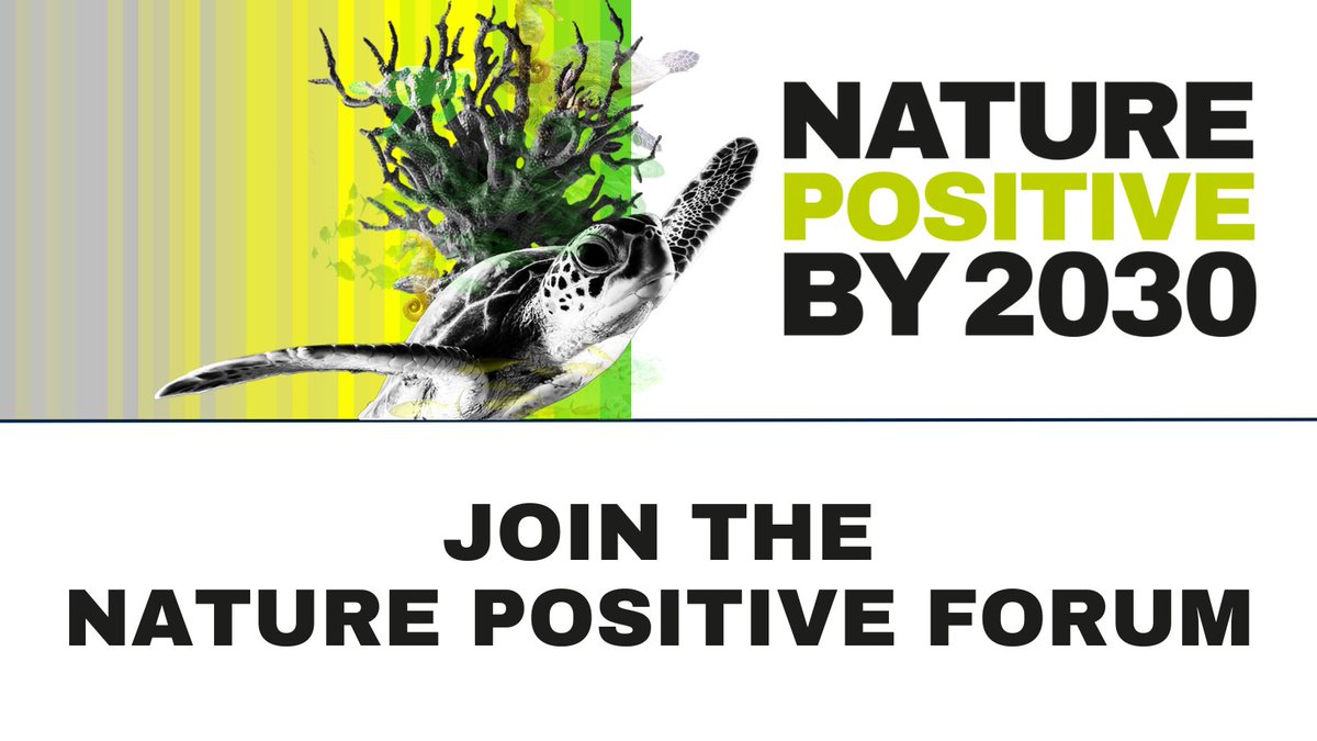 The #NaturePositive Forum has over 100 members. They are supporting measurable net-positive biodiversity outcomes by…

🌍 Promoting sustainable land use & conservation efforts
🌳 Fostering global collaboration and advocacy for nature-positive policies

👉naturepositive.org/about/forum/