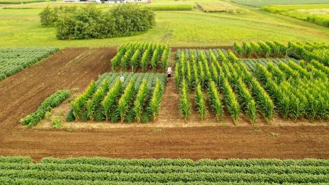 Center for the Economics of Sustainability tweet media