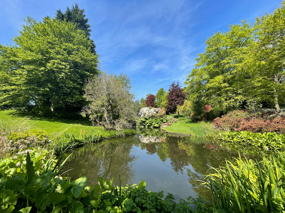 We look forward to welcoming you to the wonderful Highwood Ash Open Garden. Join us today 2pm-6pm. Tickets cost £6, children under 16 go free. Highwood Ash, Highwood Hill, Mill Hill, London, NW7 4EX