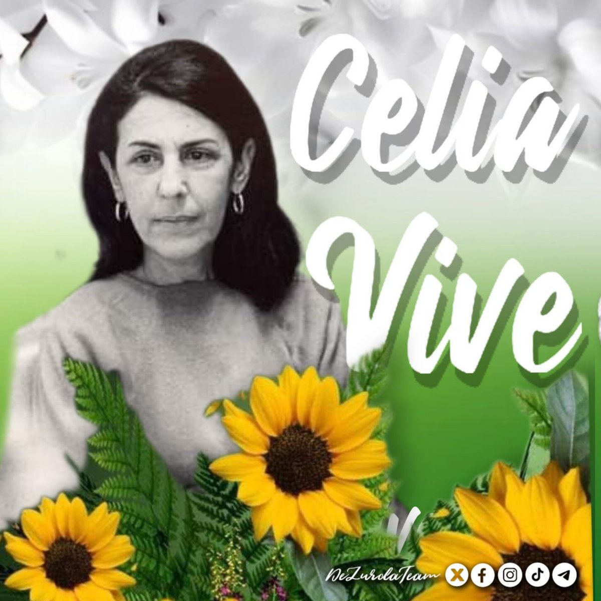 💬¡Quiénes quieran saber el sentimiento humano que alberga un corazón comunista, quienes deseen conocer la sensibilidad humanista que hay en el corazón de los revolucionarios cubanos: deben estudiar la vida de Celia! #CeliaVive #DeZurdaTeam