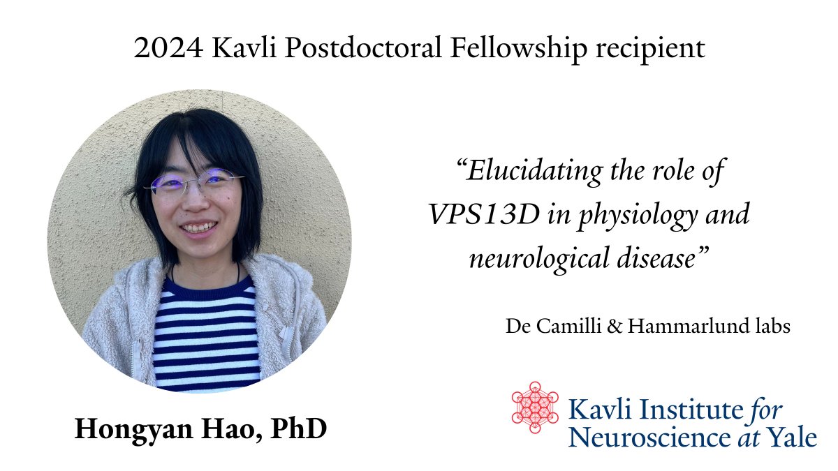 Yale Kavli Institute for Neuroscience tweet media