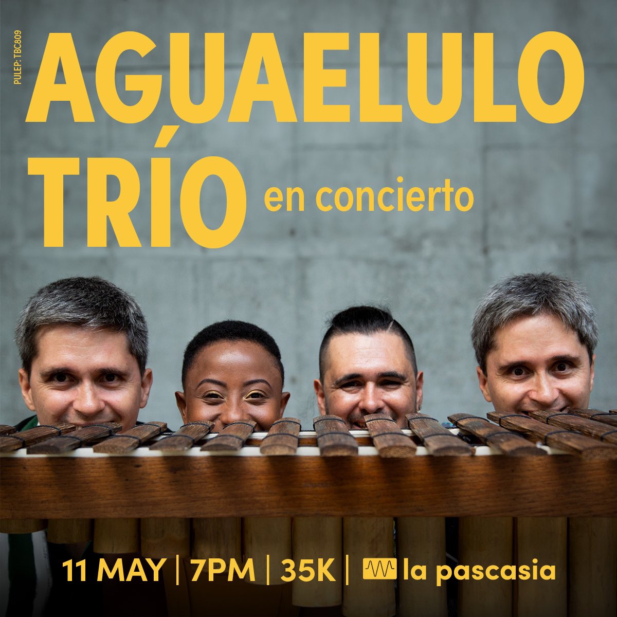 Este Sábado 11 de Mayo tendremos a @Aguaelulotrio en vivo en La Pascasia junto a #LiannyLaVoz en un concierto lleno de texturas sonoras del litoral Pacífico colombiano: Abozao, currulaos, jugas,bundes, levantapolvo y aguabajo.
🎉🎊Los esperamos🎊🎉