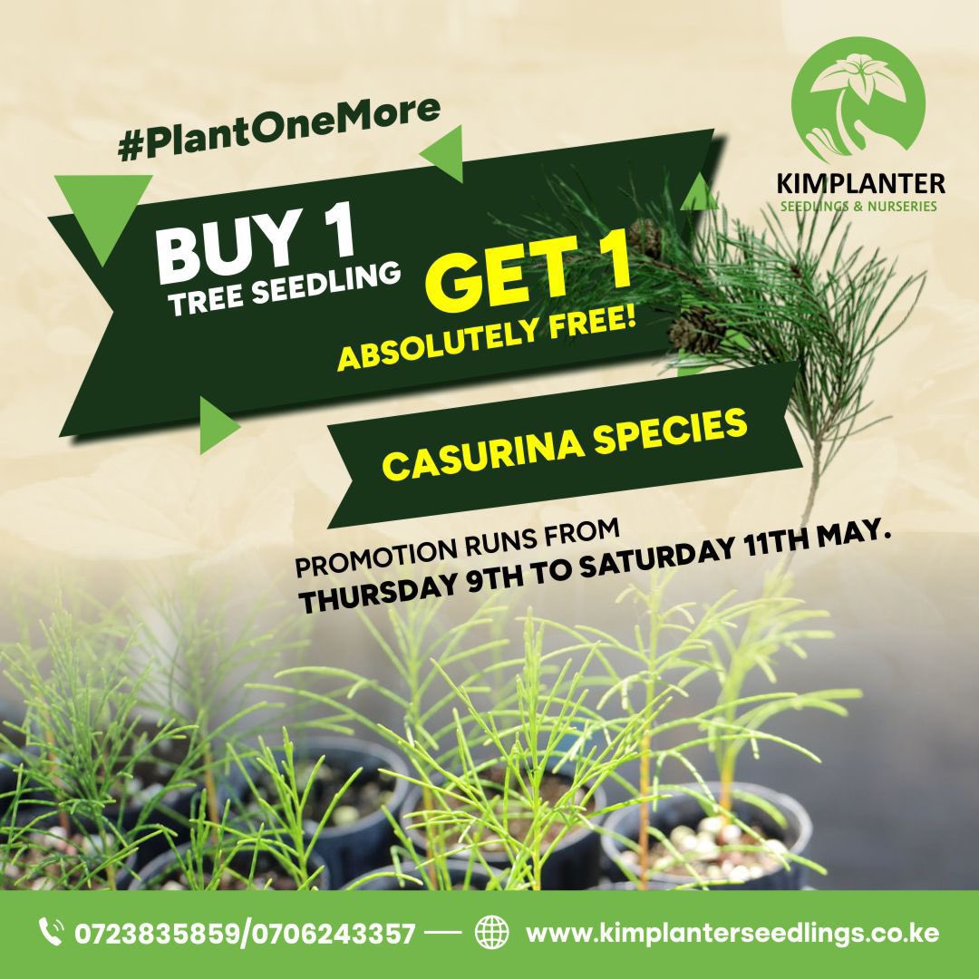 With their commited efforts toward Kenya national goal of 15bn trees and AFR100 at continental level, They now have a facilitation #PROMOTION . Reach out to @kimplanter and reward system to #Plant one more tree!