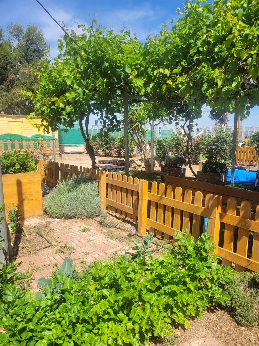 El Jardín de los Sentidos' del Centro de Día AIDEMAR Santa Rosalía ha sido seleccionado en la Convocatoria de Ayudas de @FCajamurcia y @caixabank para la realización de Proyectos de Acción Social 2024. #CABKConvocatoriasSociales #Caixabank #FundacionCajaMurcia