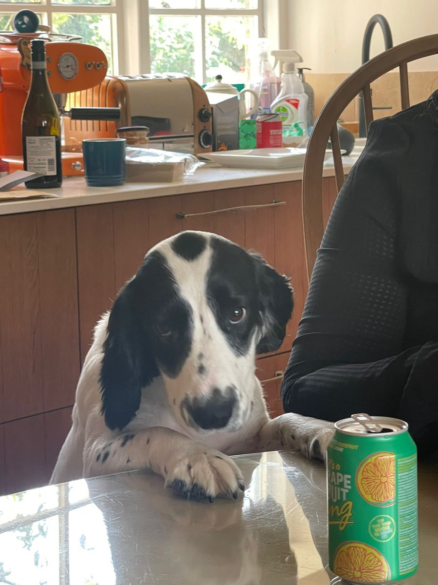 Susannah Sutton tweet media