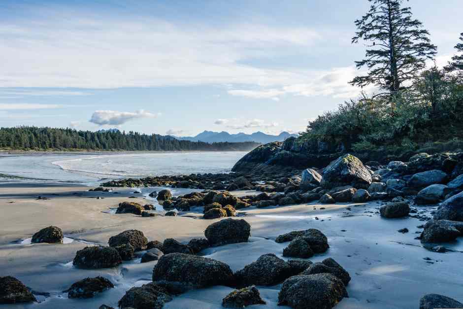 🏞️ Roadtrip-Planung auf Vancouver Island leicht gemacht: Die besten Spa-Hotels der Ostküste versprechen Erholung pur nach jedem Abenteuer! 🚗💆‍♂️ travelworldonline.de/vancouver-isla… #VancouverIsland #Wellness #Roadtrip #Entspannung #TravelHacks #RoadtripLife #SpaHotels #travelworldonline